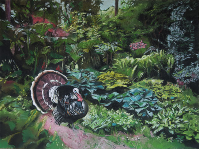 Guillaume Pinard, le dindon, pastel